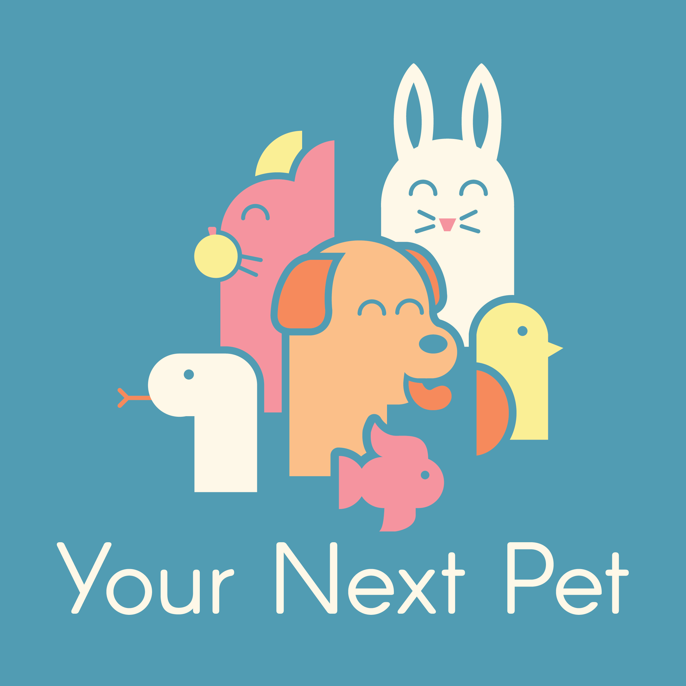 Your Next Pet 